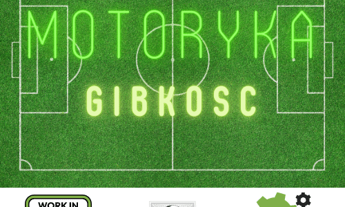 Przygotowanie motoryczne – Gibkość